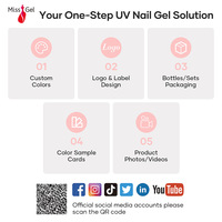 MissGel Nail Fournisseur Nouveau Produit Offres Spéciales Modélisation Texture Nail Builder Art Design Iridescent Aurora 3D Texture Gel pour Ongles