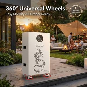 Dragon 16.896kWh LiFePO4แบตเตอรี่51.2V ระบบเก็บพลังงาน DPLB-51330-LFP 330Ah พร้อมบลูทูธอัจฉริยะ LCD เกรด A - Product Image 1
