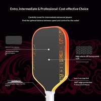 Raquette de pickleball en fibre de carbone T700 pressée à chaud, exclusive transfrontalière, ensemble complet 230g 16mm 41.8cm