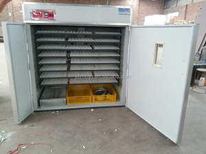 HJ-i12工業用孵卵器、最も完全なシリーズの孵化率を誇る鶏卵孵卵器、フィリピンで販売中 - Product Image 4