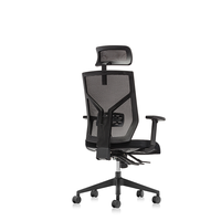 Chaise de bureau ergonomique en maille avec support lombaire réglable, chaise de travail informatique à dossier haut pour la maison