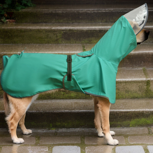 批发新款反光小大狗防水夹克PU材料可洗运动风格，带实心图案 - Product Image 2