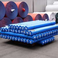 Rouleau de bâche PE bleue 180 g/m² imperméable et résistante aux UV pour la construction et les couvertures de camions