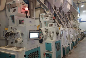 Miglio secco all'ingrosso per il cibo degli uccelli dito miglio giallo grano di miglio - Product Image 5