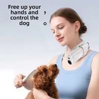 Sèche-cheveux portable intelligent ABS à collier de maintien avec protection contre la surchauffe pour le bain et le toilettage des chats et des chiens