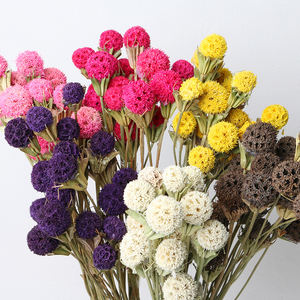 Boule de fleurs séchées immortelles et magnifiques, passe-partout pour la décoration de la maison - Product Image 6