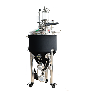 Hygiënische RVS 304 Verplaatsbare Thuisbrouwerij Drukfermentor Conische Brouwapparatuur - Product Image 1