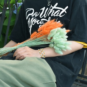 50 pcs/pack Rose Fleurs Décoratives Lapin Herbe Bébé <span class=keywords><strong>Lagurus</strong></span> Bundle Plantes Bouquet Naturel Ovatus Séché Lapin Queue de Resup - Product Image 2