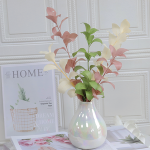 Nuevo Estilo de Hoja de Naranja Preservada Hecha a Mano para Decoración Navideña, Día de San Valentín, Decoración del Hogar, Arreglos Florales para Bodas, Regalo Perfecto para - Product Image 1