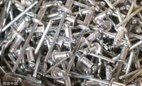 Vente en gros de rivets étanches personnalisés rivet aveugle anodisé rivet à tête dôme en acier aluminium