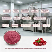 Mejor Precio en Extracto Natural de Arándano en Polvo, Extracto de Fruta Seca por Pulverización, Materia Prima para Premezclas de Bebidas y Formulaciones Herbales