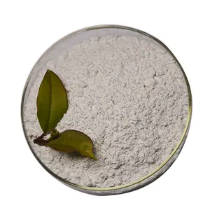 Rutom Factory Supply Natural Mineral Fertilizer Multiple Applications Powder Calcium Sulphate Fertilizer For Fertilizer Supplier