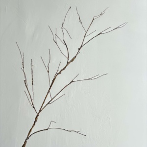 Bán Buôn Cành Cây Nhân Tạo Nhà Máy Chi Nhánh Cao Mô Phỏng Nhân Tạo Chi Nhánh Cây Cành - Product Image 1