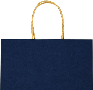 Sacs en papier de petite taille avec poignées, sacs cadeaux pour fêtes d'anniversaire, sacs à main pour magasins de vêtements, sacs en papier kraft pour plats à emporter - Product Image 6