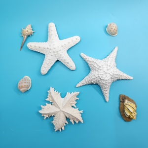 Artesanía en Resina, <span class=keywords><strong>Coral</strong></span> Blanco, Estrella de <span class=keywords><strong>Mar</strong></span> Hecha a Mano y Pintada a Mano, Figura en Forma de Estrella de 16x16x4cm para Decoración <span class=keywords><strong>del</strong></span> Hogar - Product Image 5