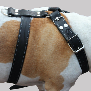 جلد طبيعي لا يسحب الكلب تسخير تدريب الحيوانات الأليفة المشي تسخير الكلب بيتبول سترة - Product Image 6