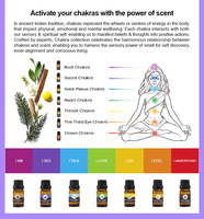 Vente en gros de coffret cadeau d'huiles essentielles aromathérapeutiques en roll-on pour la méditation, l'équilibre des chakras |   Cadeaux de yoga et de reiki
