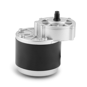 Custom High Torque Brushed <strong>DC</strong> <strong>Electric</strong> <strong>Golf</strong> <strong>Cart</strong> Motorcycle Scooter Pmdc <strong>Motor</strong> for Sale <strong>12v</strong> 24v 36v 48v 72v 300w 3000w - Product Image 5