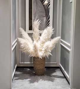 Decoración de Paisajismo <span class=keywords><strong>con</strong></span> <span class=keywords><strong>Flores</strong></span> Secas Estilo Natural al por Mayor <span class=keywords><strong>con</strong></span> Hierba de Pampas Grande para Decoración de Bodas - Product Image 6