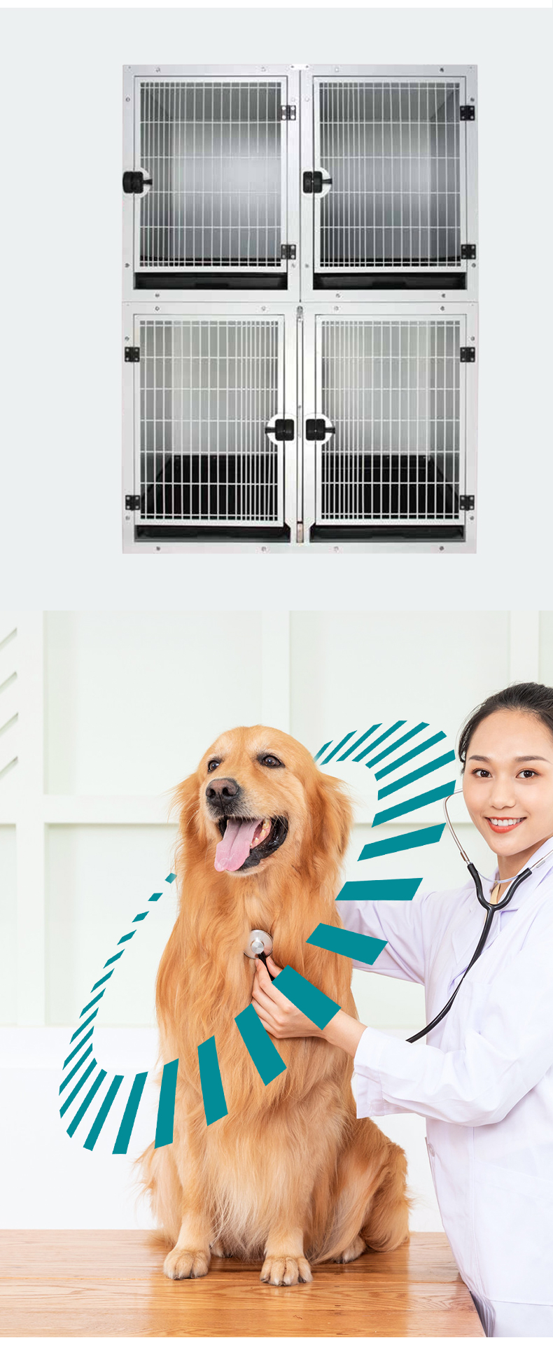 HF-505 Pet Dog Powder coating Stainless Steel High Quality modular cage banks