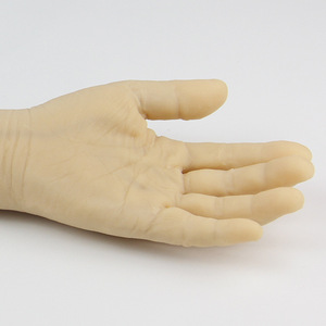 Modelo do treinamento da punção da veia do braço, modelo médico do treinamento modelo médico do treinamento do braço da coleção do sangue - Product Image 5