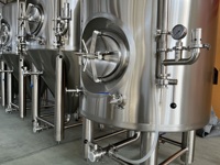Réservoir de stockage de bière 500L Serving Brite Tank en acier inoxydable 304, machine de service de bière automatique PID pour bar