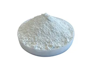 Độ tinh khiết 99% Oxit công nghiệp CAS 13463-67-7 rutile Titanium Dioxide TiO2 bột để sử dụng sơn