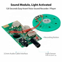 Module Vocal enregistrable, BRICOLAGE Carte De Voeux Puce 120 Secondes Musique Enregistrement Vocal Lecteur Module de Puce pour Carte De Voeux.