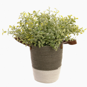 Flores Secas Naturales, Ramo de Hierba de <span class=keywords><strong>Pampas</strong></span>, Phragmites Reales, Decoración Boho <span class=keywords><strong>Chic</strong></span> para Bodas y Fiestas, Plantas Secas al por Mayor - Product Image 1