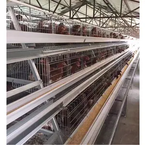 Large Size Chicken Poultry Chicken Layer Cage Kenya 4 Door 4 Floor chicken egg layer battery cage for sale