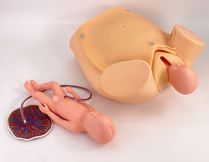 Simulateur de Mannequin de <span class=keywords><strong>Femme</strong></span> <span class=keywords><strong>Enceinte</strong></span> en PVC Avancé avec Jumeaux Poupée Bébé pour la Formation à l'Accouchement en Sciences Médicales - Product Image 4