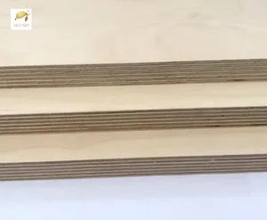 Hot Sales 3mm 6mm 9mm 18mm Bamboo Plywood