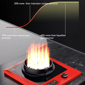 2025 नई तकनीक 1 बर्नर इलेक्ट्रिक लौ स्टोव रसोई उत्पादों के लिए गैस के बिना शुद्ध इलेक्ट्रिक लौ स्टोव रसोई उत्पादों - Product Image 3