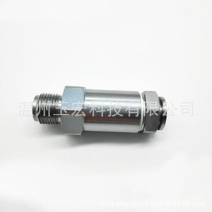 Soupape de surpression Common Rail 1110010030 pour système de carburant de moteur diesel Cummins, composant de sécurité - Product Image 2