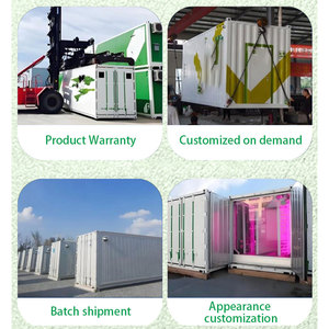 Conteneur de Forage Vert 40HQ/20GP - Solution de Transport Hydroponique pour l'Alimentation Animale et la Production de <span class=keywords><strong>Mini</strong></span>-Légumes - Product Image 4