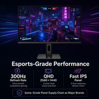 Monitor Gaming 27" QHD 300Hz Fast IPS 0.5ms 2560x1440 Layar Esports Grosir Partai Besar OEM Logo Kustom Harga Pabrik