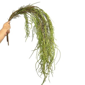 Plantes artificielles suspendues, type mousse, pour mur végétal, guirlandes de <span class=keywords><strong>saule</strong></span>, présentation en vitrine, aménagement de plafond - Product Image 5