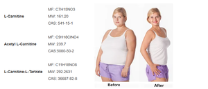 ISO Supplément Santé Additif Alimentaire Acétyl-<span class=keywords><strong>l</strong></span>-<span class=keywords><strong>Carnitine</strong></span> Acétyl <span class=keywords><strong>L</strong></span> <span class=keywords><strong>Carnitine</strong></span> Amincissant Acétyl <span class=keywords><strong>L</strong></span>-<span class=keywords><strong>Carnitine</strong></span> Poudre - Product Image 4