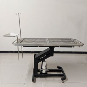 स्टेनलेस स्टील हाइड्रोलिक पशु चिकित्सा 304 सर्वोत्तम मूल्य - Product Image 2