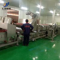 Automatische fruitverwerkings- en afvullijn 2000-10000 L/u kant-en-klare drankenfabriek