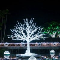 Led Light Up Tree Rosa Riese Künstlicher Led Tree Künstlicher Baum Mit Licht