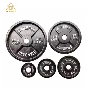 铁板健身房磅自由重量商业健身铸铁杠铃重量板磅健身房盘板