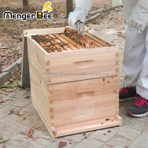 รังผึ้ง Greenvive รุ่นใหม่ 10 เฟรม 2 ชั้น แบบ Langstroth พร้อมเฟรมและแผ่นฐานรังผึ้ง ทำจากไม้สนจีน รับประกัน 1 ปี - Product Image 4