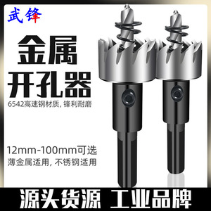 Scie cloche Fuxin en acier rapide à pointe carbure 10 mm métrique pour métal, plastique, aluminium, usage domestique - Product Image 4