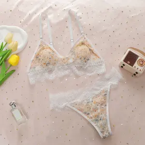 Custom Hot Images Transparent Wire Free Bras And Underwear Women Sexy Lingerie Set Manufacturing