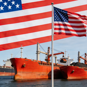 Топ-10 китайских экспедиторов: Доставка от двери до двери, LCL+экспресс-доставка, таможенное оформление в США/Канаде, круглосуточная поддержка - Product Image 1