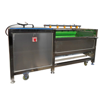 Laveuse et éplucheur de légumes de betterave à sucre de machine de nettoyage de lavage de manioc utilisé commercial