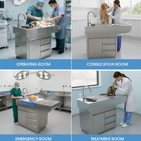 Table de toilettage pour animaux réglable avec structure en acier inoxydable pour usage vétérinaire et en salon de beauté pour animaux