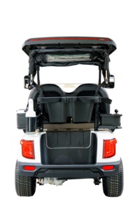 Carrito de Golf Golfer 2P, Buggy de Litio para Turismo, Vehículo de Litio, Carrito de Golf 2P, Buggy - Product Image 3
