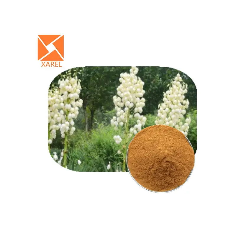 Factory Supply Plants Feed Additive Low Price Schidigera Powder Yucca Stem Leaves Extract